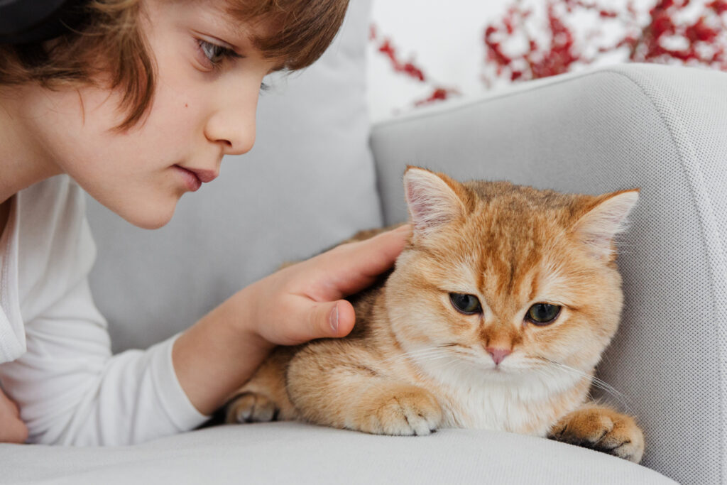 子猫と男の子
