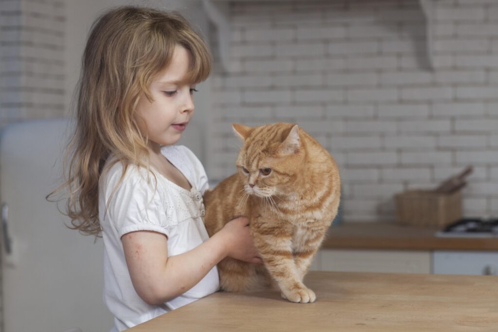 女の子と猫