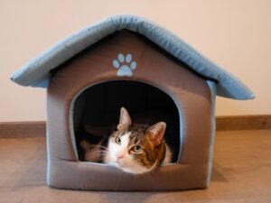 ネコハウスでリラックスする猫