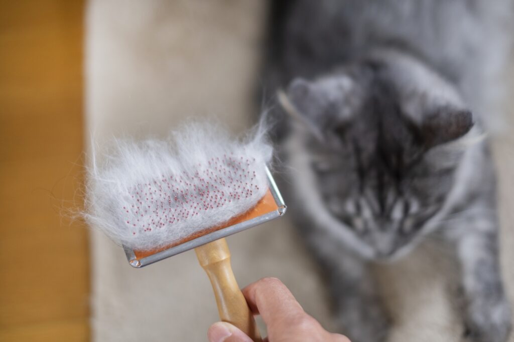 ブラッシングにからまる猫の毛