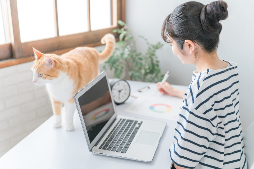 テレワーク中のデスクの上でリラックスする猫