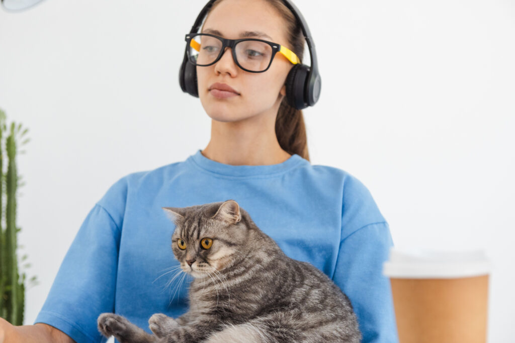 テレワーク中の猫
