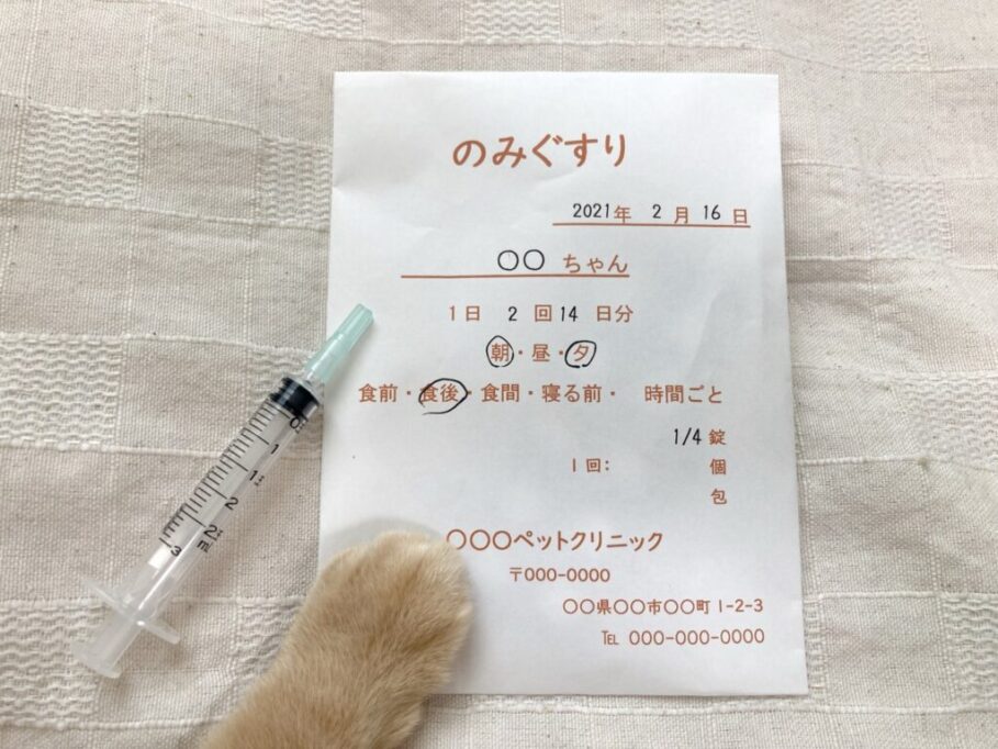 動物病院から処方された薬