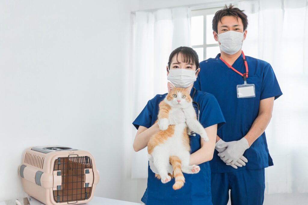 獣医さんに抱っこされる猫