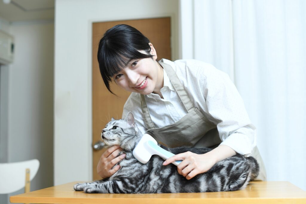 ブラッシングされる猫