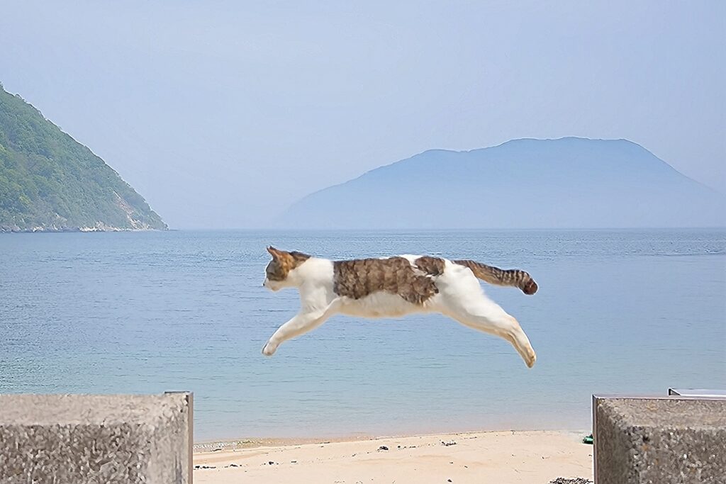 長距離をジャンプする猫