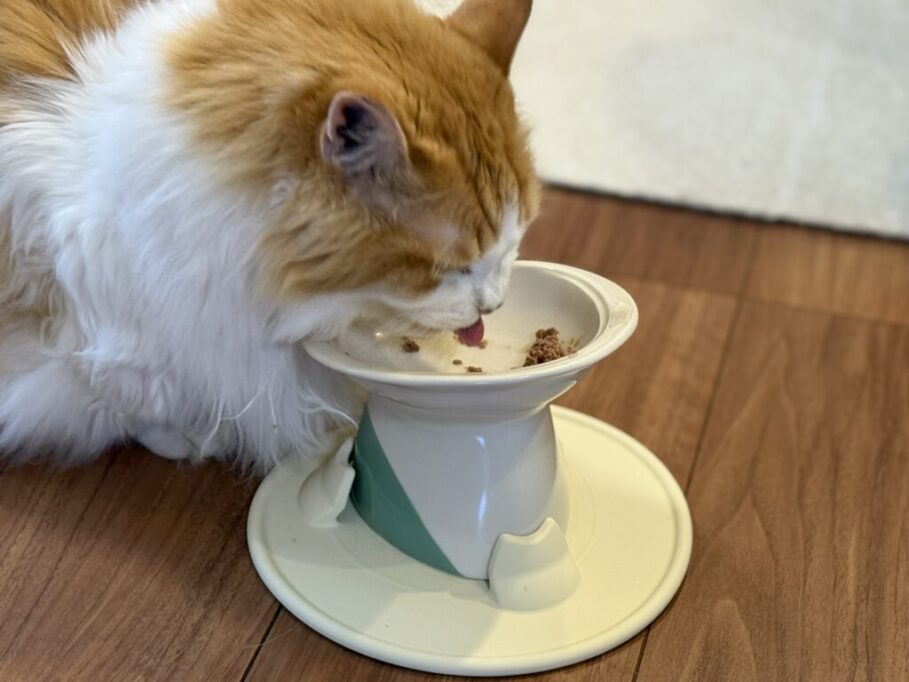 パウ・ボウルONIGIRIからご飯を食べるテト