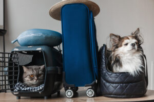 スーツケースの横に置かれたケージに入る猫と犬