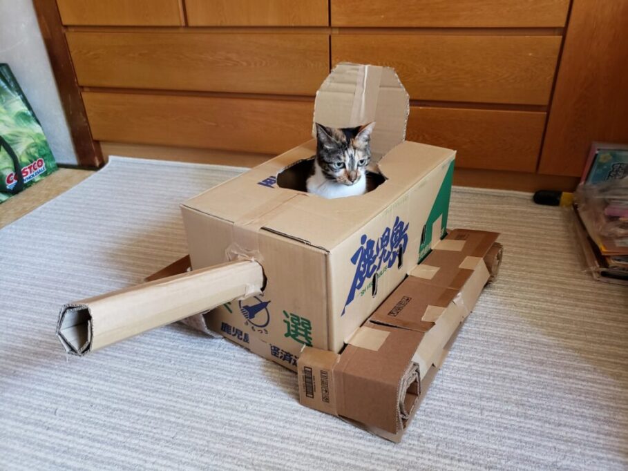 ダンボール製の戦車で遊ぶ猫
