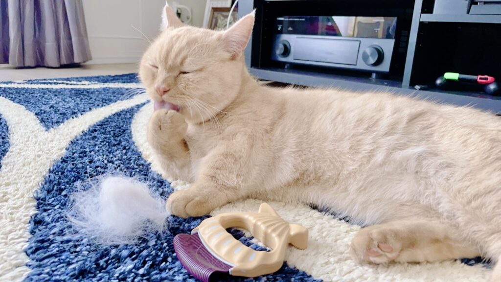 カーペットに毛をつけながら、毛づくろいする猫