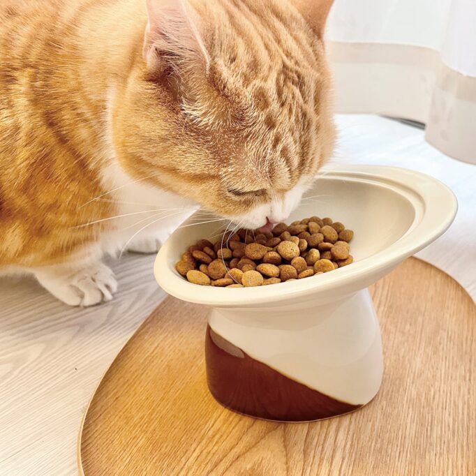 パウ・ボウルONIGIRIからご飯を食べるウリ