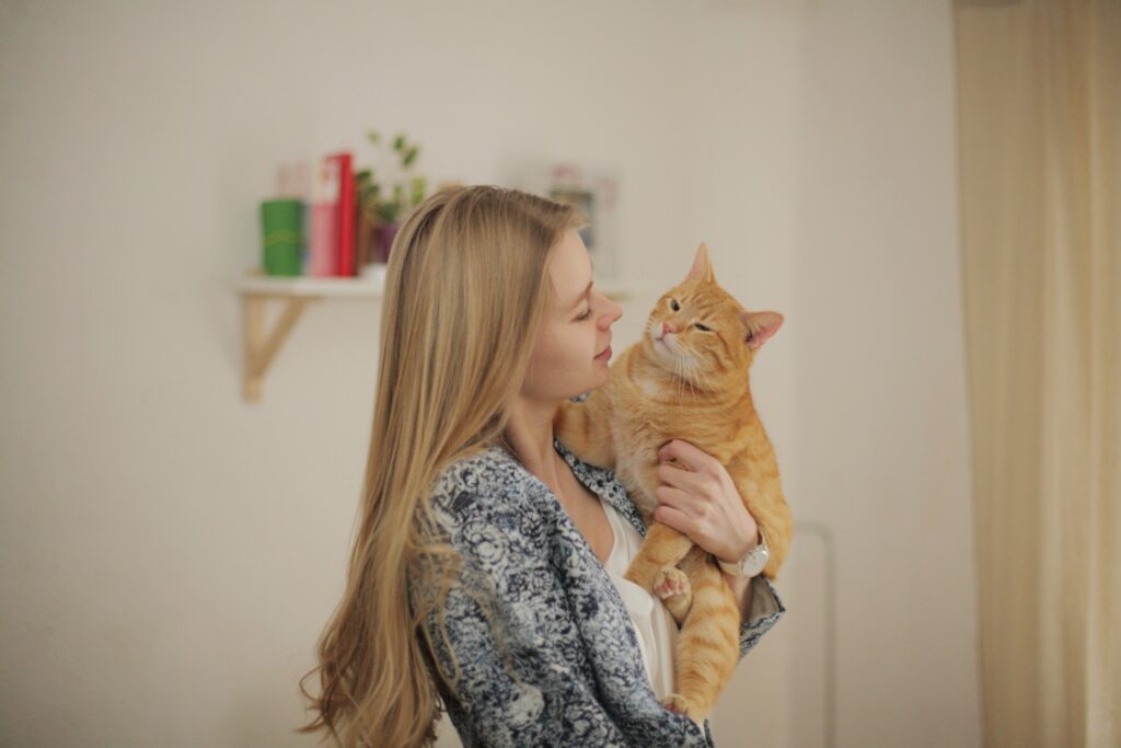 猫に話しかける飼い主