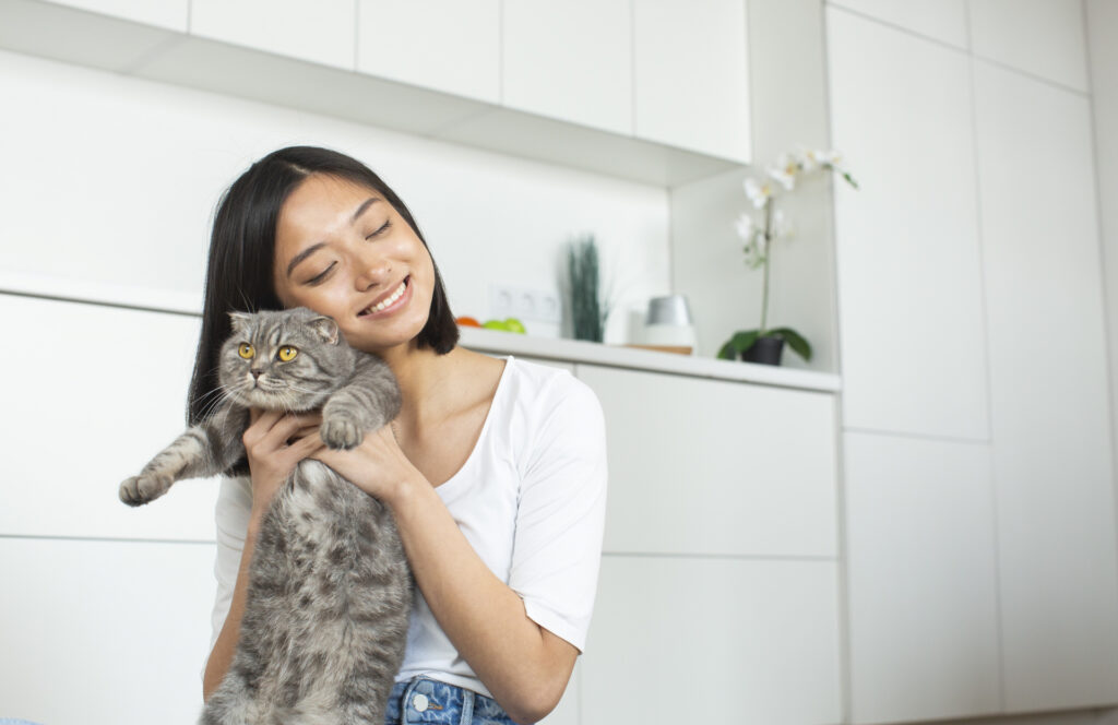笑顔の女性に抱っこされる猫