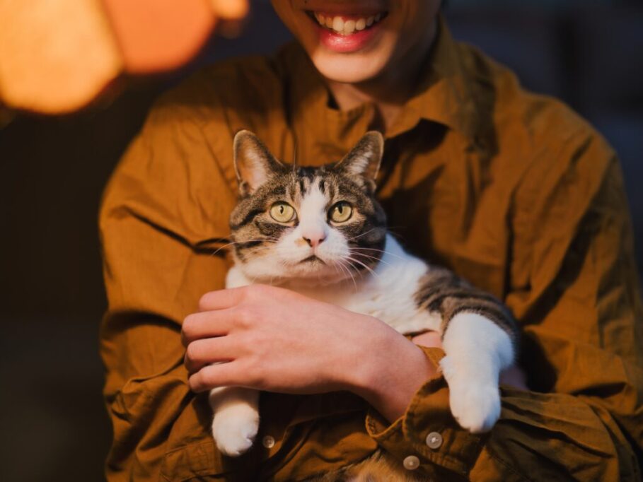 飼い主に抱っこされる猫