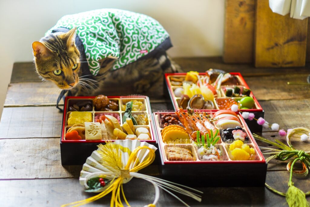 おせち料理を見つめる猫