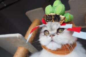 迎春のコスプレをしてるマニ