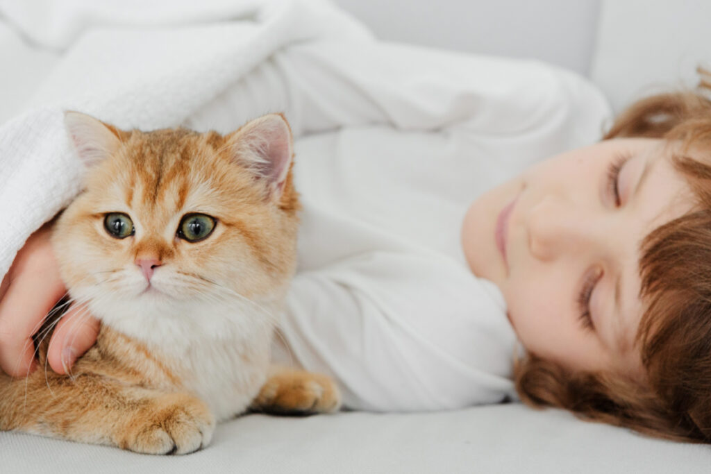 布団から出てくる猫