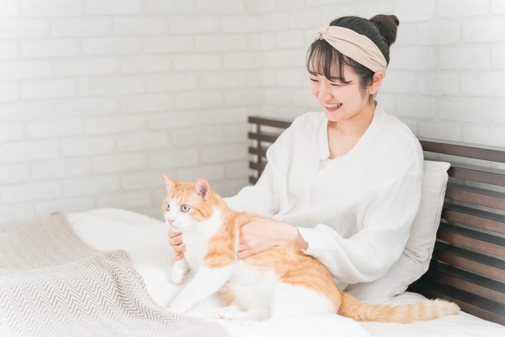 ベッドで飼い主さんに抱っこされる猫
