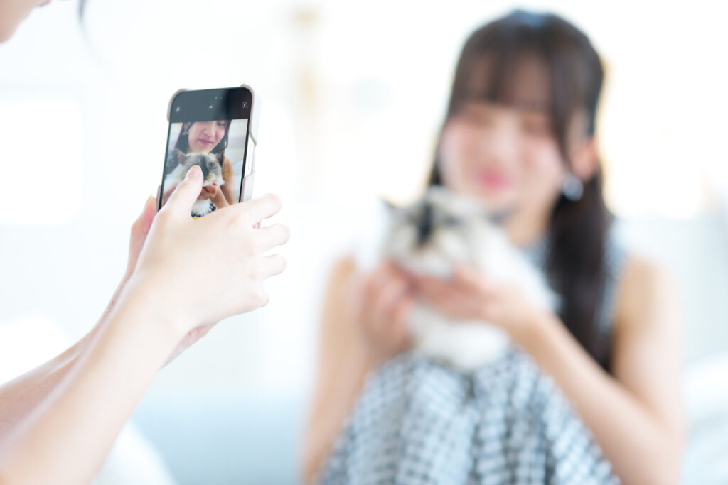 抱っこされて写真を撮られる猫