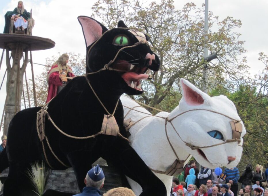 ベルギーの猫祭り