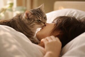 朝、飼い主を起こしに来る猫