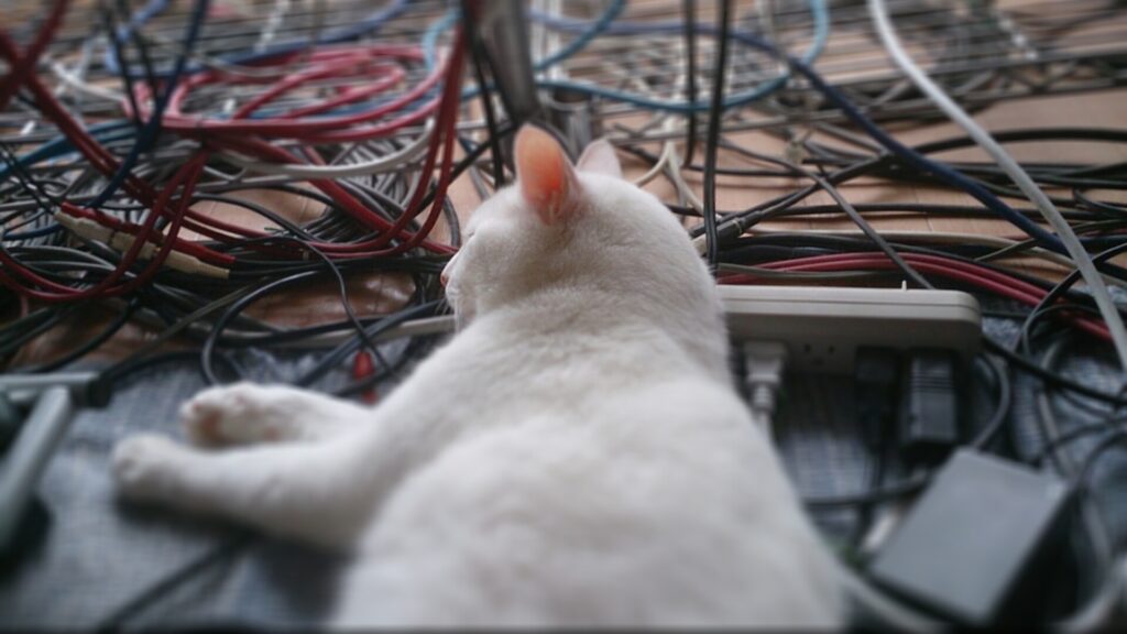 大量のケーブルのそばで眠る猫
