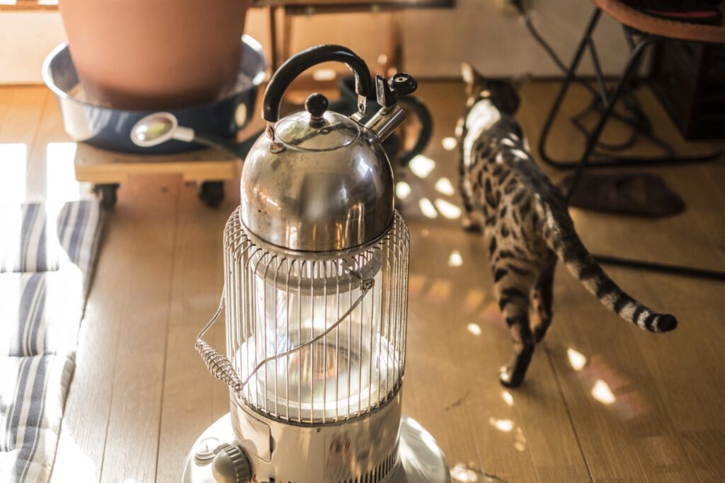 ストーブの横を歩く猫