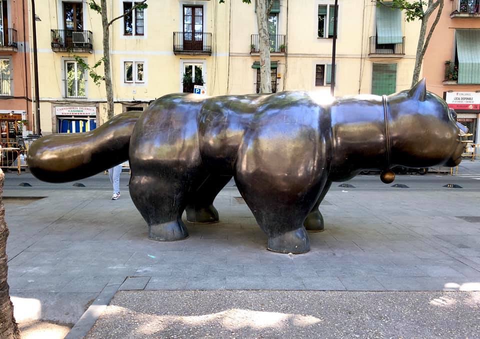 バルセロナのラバルの猫