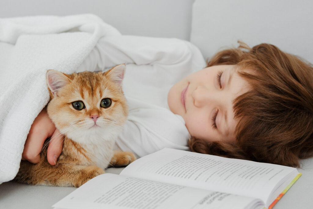 子供とベッドに入りながら、本を見る猫