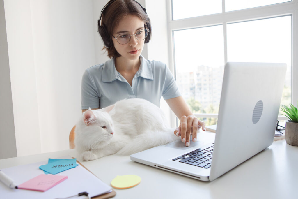 一緒に仕事してるつもりの猫