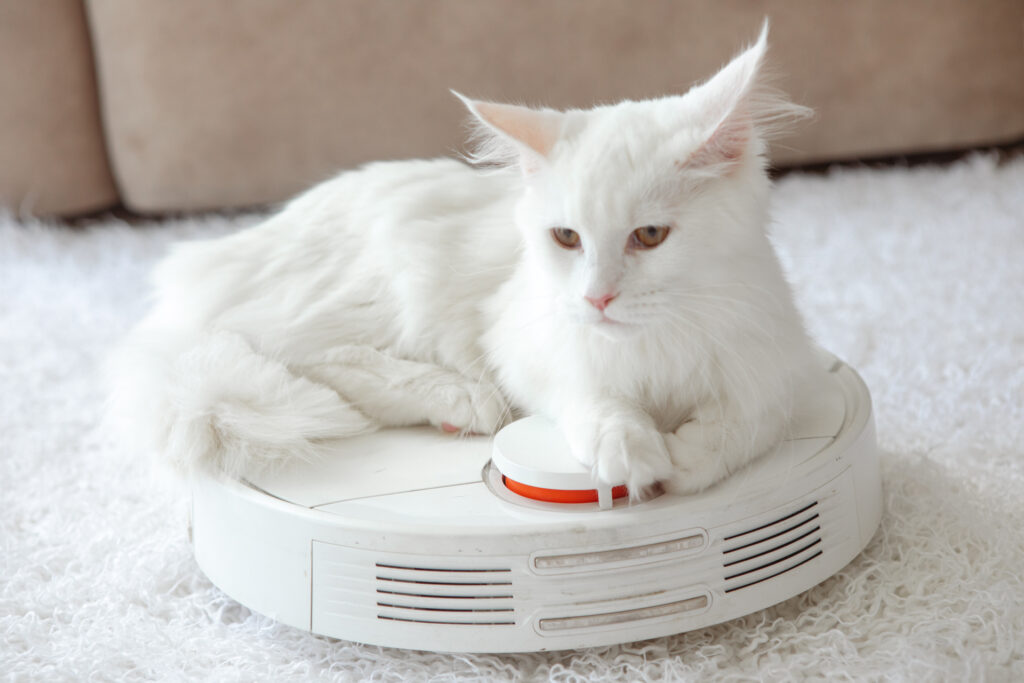 ロボット掃除機に乗ってる猫