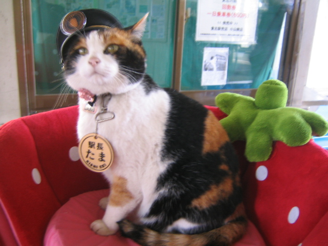 駅長たま