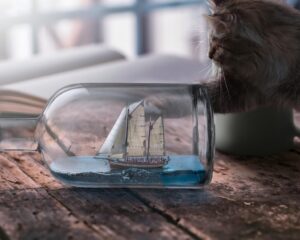 デスクの上のボトルシップをちょいちょいする猫