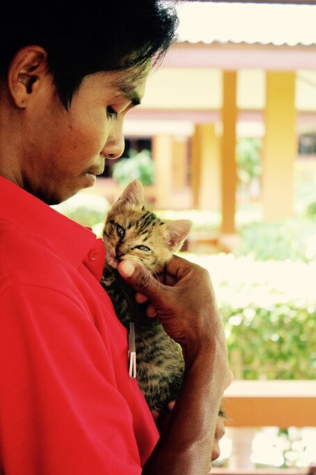 男性に抱っこされる子猫