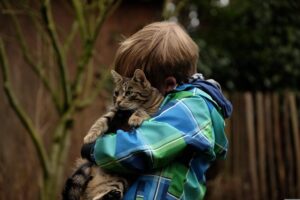 少年に抱っこされる猫