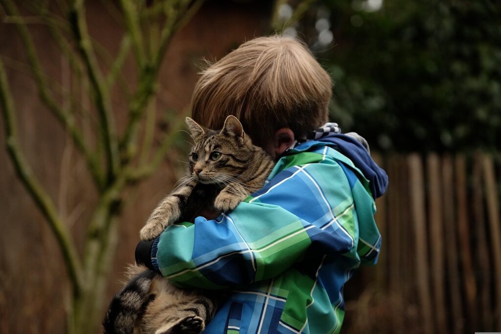少年に抱っこされる猫